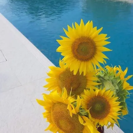 Villa Stunning With Pool & Yoga In Le Marche *